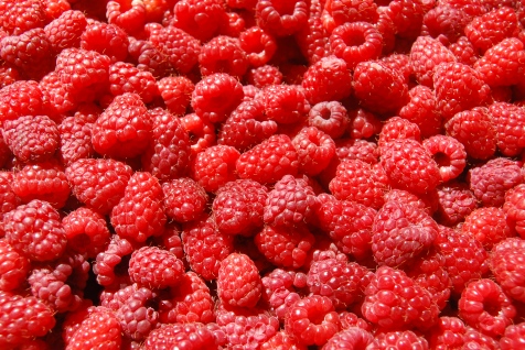 Raspberries-raspberries-35243775-3872-2592